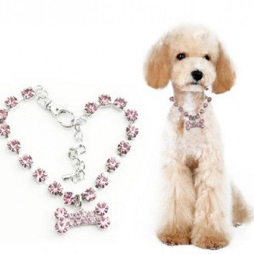 Stainless Steel Bones Crystal Dog Collars