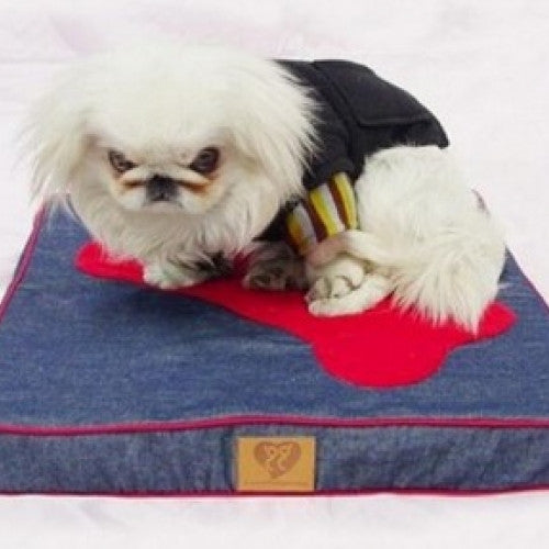 Pet House Bone Pattern Square Foam