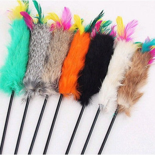 MultiColor Funny Cat Kitty Kitten Feather Toy
