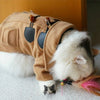 Pets Trench Coat Winter Clothes