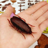 Bionic cockroach - Cat toy Electric