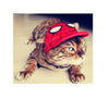 Baseball Caps, Dogs and Cats Hats, Pet Hats,  Cat Toy, Dog Toy