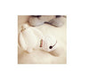 Baseball Caps, Dogs and Cats Hats, Pet Hats,  Cat Toy, Dog Toy