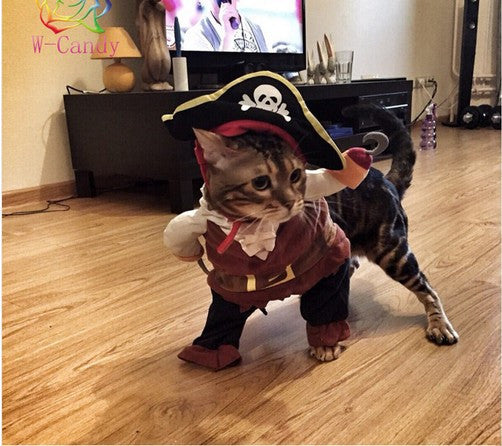Cute Cartoon  Modelling Pirates for Cat Dog